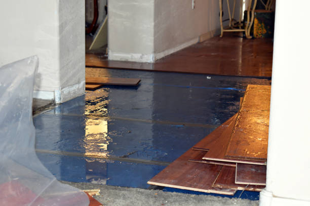 Professional Sewage Cleanup technician working in Auburn, MI